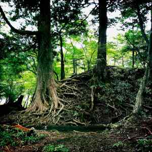 Yumoto, Ballade en forêt