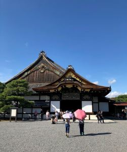 Quand les parapluie deviennent ombrelles