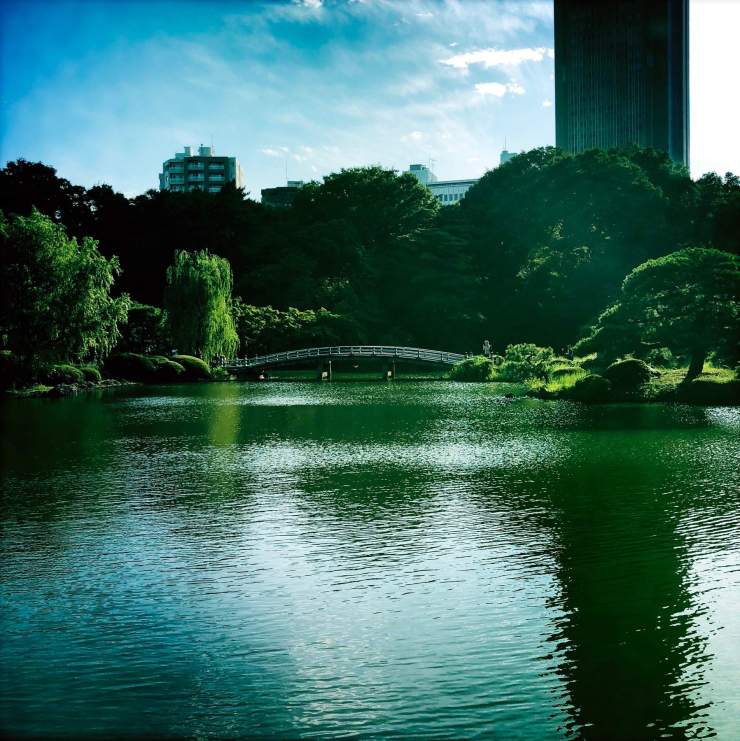 originalphoto-557823001-096818