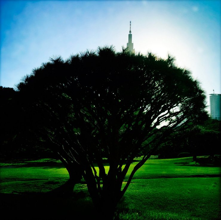 originalphoto-557825130-973008