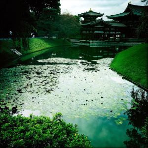 Le Byodo-In, ou temple du phoenix - Autre vue
