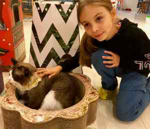 Eden dans le bar à chat, Séoul