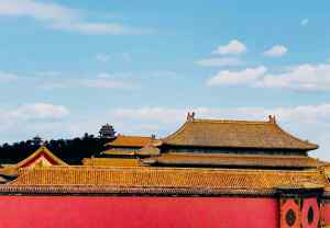 Toits de la Cité Interdite - Pékin - Chine