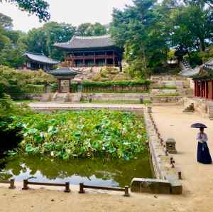 Jardins Secrets du Changdeokgun - Seoul