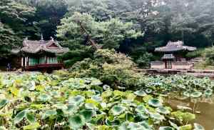 Jardins Secrets du Changdeokgun - Seoul