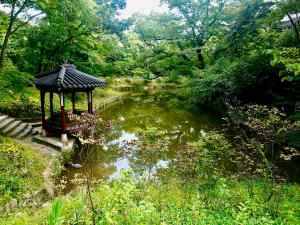 Jardins Secrets du Changdeokgun - Seoul
