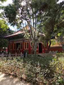 Petit pavillon perdu - Cité Interdite - Pékin - Chine