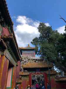 Zoom sur des portes de la Cité Interdite - Pékin - Chine