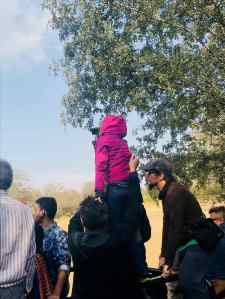 Observation du tigre - Rajasthan - Ranthambore - Inde