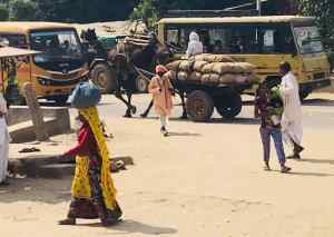 Ranthambore - Scène de rue - Rajasthan - Inde