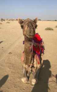 Tu veux ma photo ? - Désert du Thar - Rajasthan - Inde