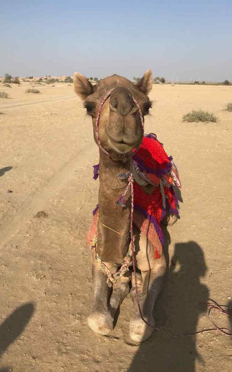 Tu veux ma photo ? - Désert du Thar - Rajasthan - Inde