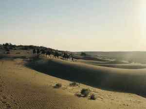Quand la caravane passe...- Désert du Thar - Rajasthan - Inde
