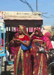 Derniers saris- Rajasthan - Inde