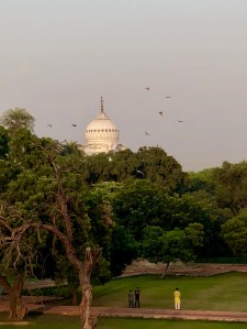 Jardins d'Humayun Tomb - Delhi - Inde