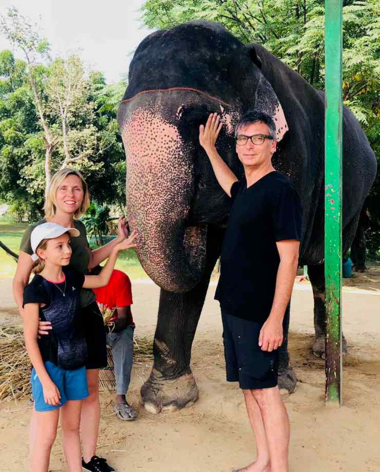 Un éléphant, c'est gros ! - Jaipur - Inde