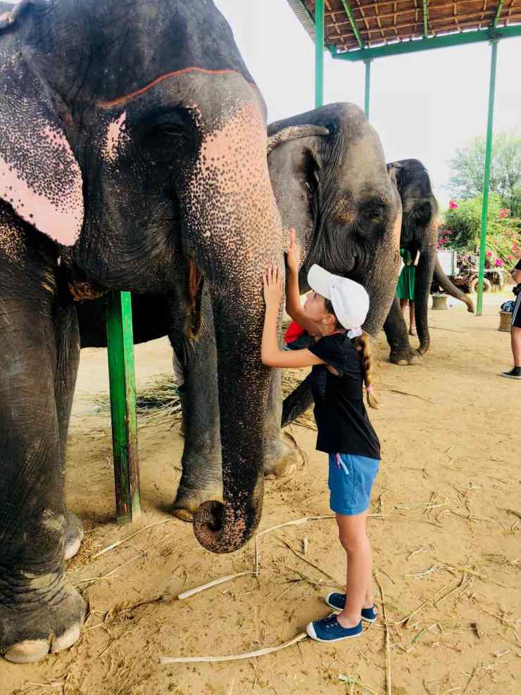 Je fais un calin à mon éléphante - Jaipur - Inde