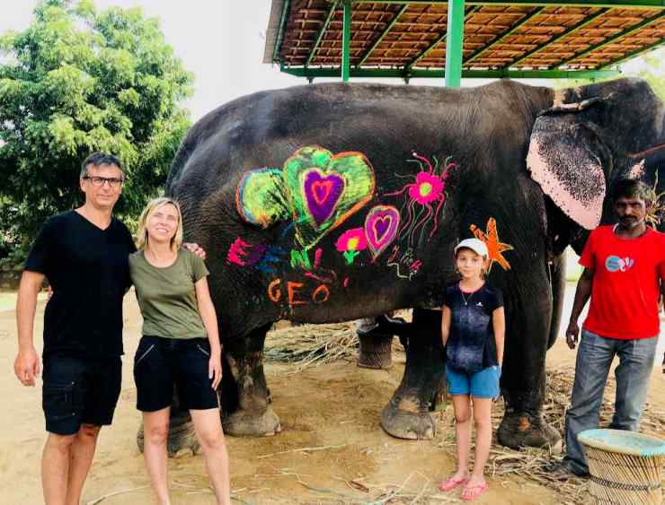 Dessins sur éléphante - Jaipur - Inde