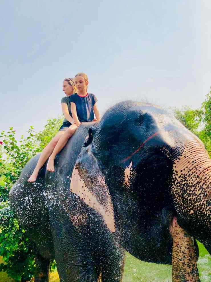 Après la douche, mon éléphante nous arrose ! - Jaipur - Inde