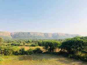 Ranthambore - Parc national - Rajasthan - Inde