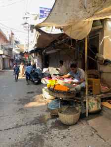 Vendeur de fleurs à offrandes - Jodhpur - Rajasthan - Inde