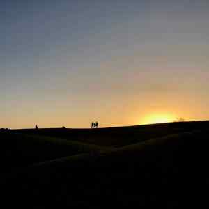Lever de soleil - Désert du Thar - Rajasthan - Inde