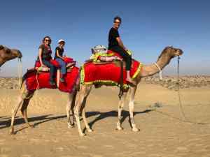 La famille Dromadaire - Désert du Thar - Rajasthan - Inde