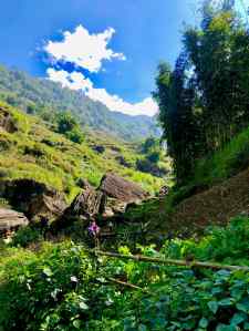 Traversée du pont en bambous - Région de Sapa - Vietnam
