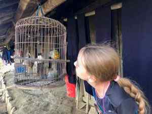 Eden observe les oiseaux- Région de Sapa - Vietnam