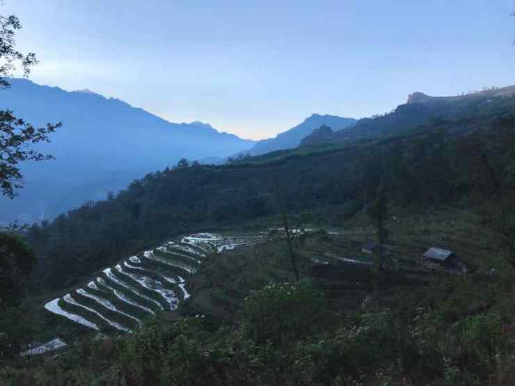 Rizières de Sapa en fin de journée - Vietnam