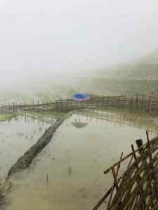 Abri à Canards / Parapluie - Région de Sapa - Vietnam
