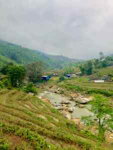 Jolies rizières - Région de Sapa - Vietnam