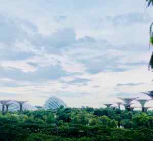 Garden By The Bay - Singapour