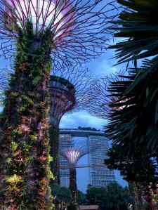 Les Superarbres du Garden By The Bay - Singapour