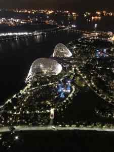 Les serres du Garden By The Bay depuis le Marina Bay Sand - Singapour