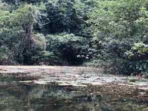 Trang An - Baie d'Halong Terrestre - Vietnam