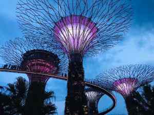 Les Superarbres du Garden By The Bay - Singapour