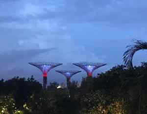 Les Superarbres du Garden By The Bay - Singapour