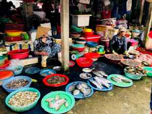 Poissons frais - Marché de Hoi An - Vietnam