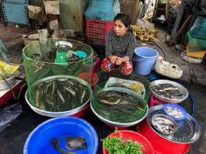 Sur le marché de Can Tho - Vietnam