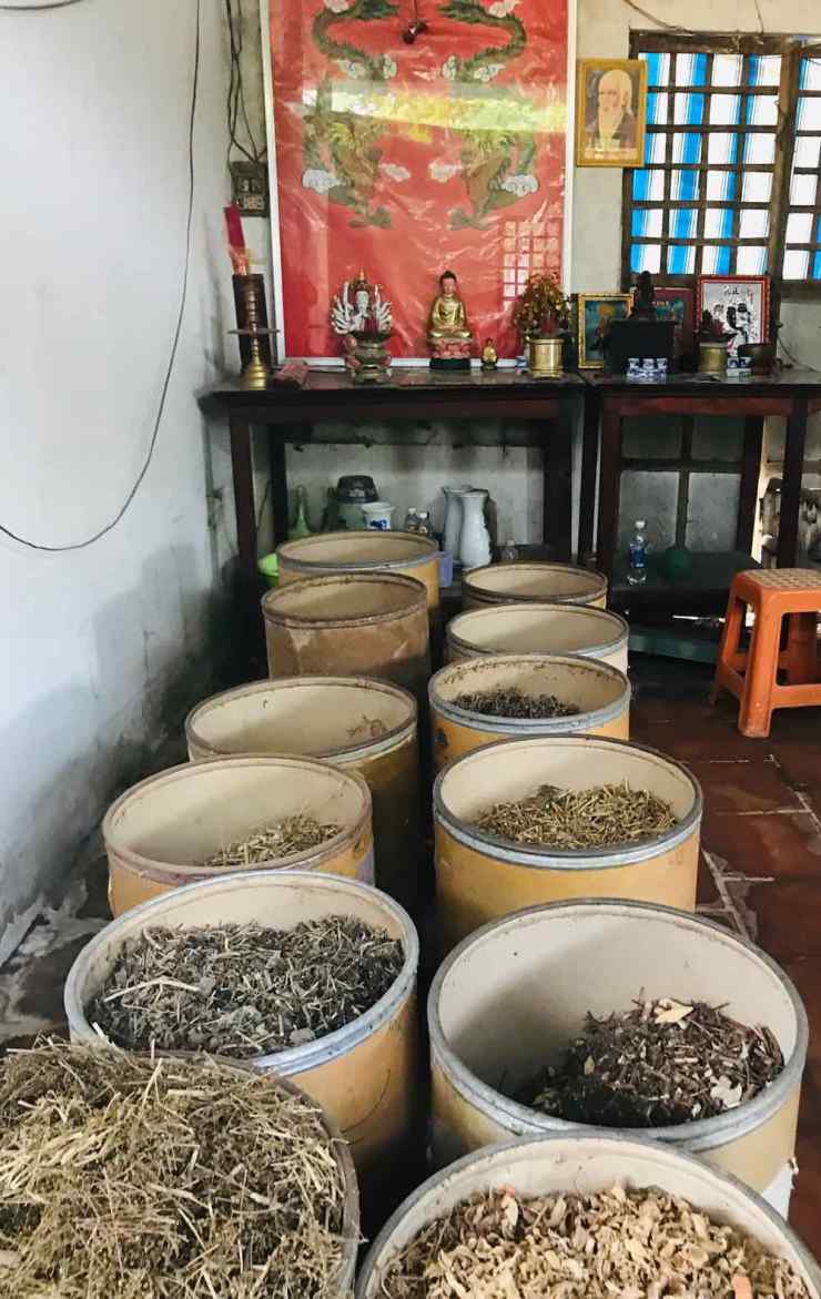 Herbes du guérisseur - Can Tho - Vietnam