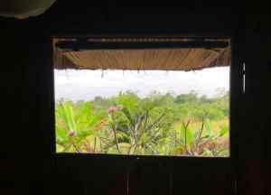 Vue de notre chambre côté jardin - Mekong - Can Tho - Vietnam