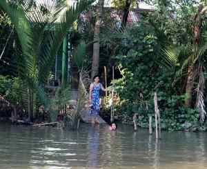 C'est l'heure du bain dans le Mekong - Can Tho - Vietnam