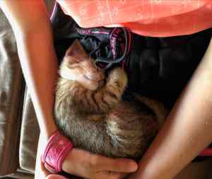 Mimiss dort, lové sur Eden - Can Tho - Vietnam