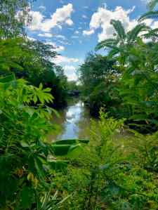 Canaux et végétation dans le Mekong - Can Tho - Vietnam