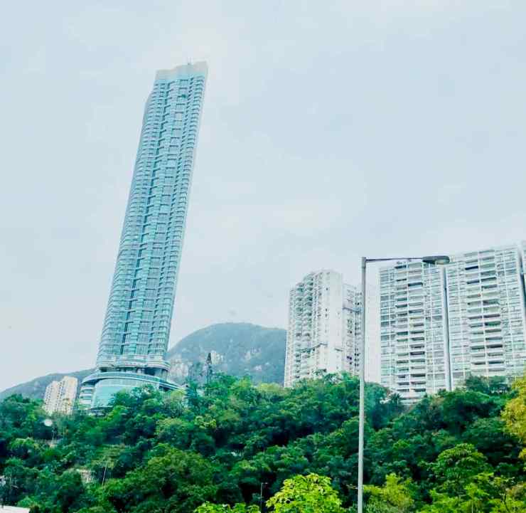 Végétation tropicale et gratte-ciels - Hong-Kong