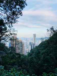 Végétation tropicale et gratte-ciels - Hong-Kong