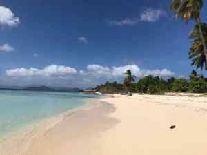 Ile vierge, banca, palmiers et eau turquoise - Palawan - Philippines