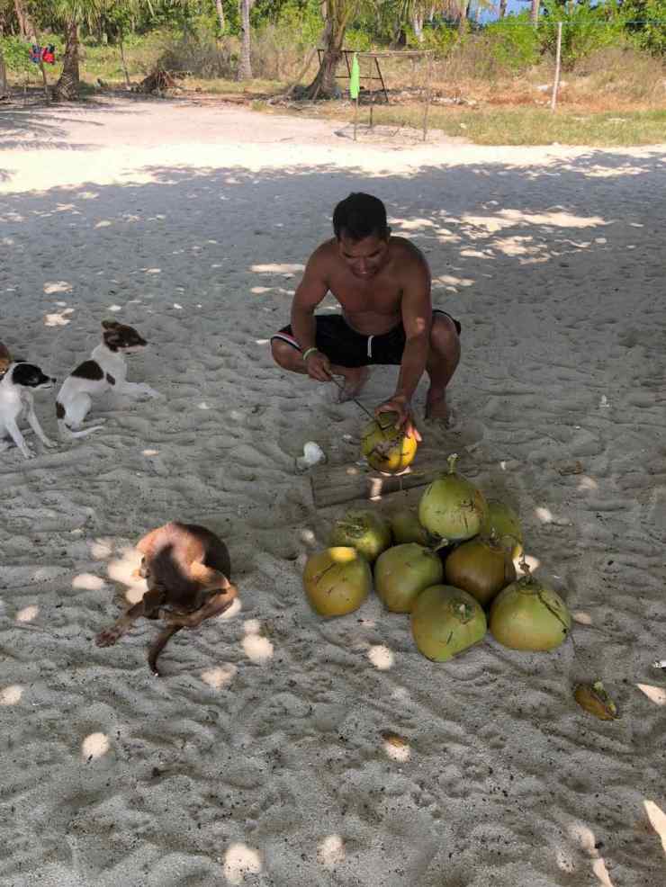 Apéro Coco sur notre ile déserte - Palawan - Philippines