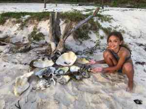 Jardin de bénitiers - Palawan - Philippines